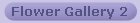 Flower Gallery 2