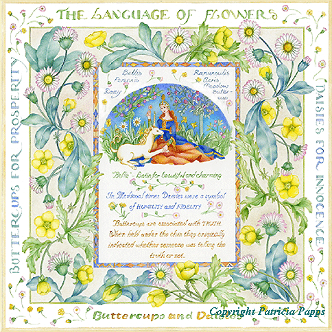 Buttercups and Daisies