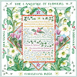 Christmas Rose small