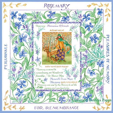 Rosemary & Periwinkle